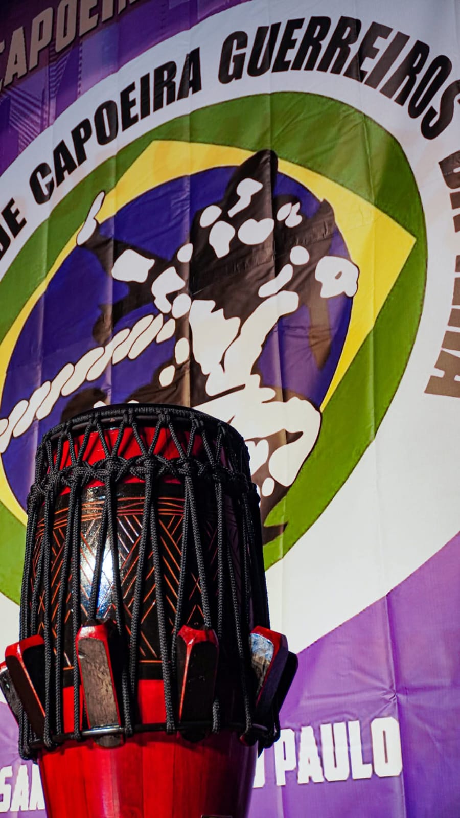 Treino e formação na capoeira